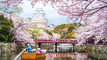 Sakura i Japan