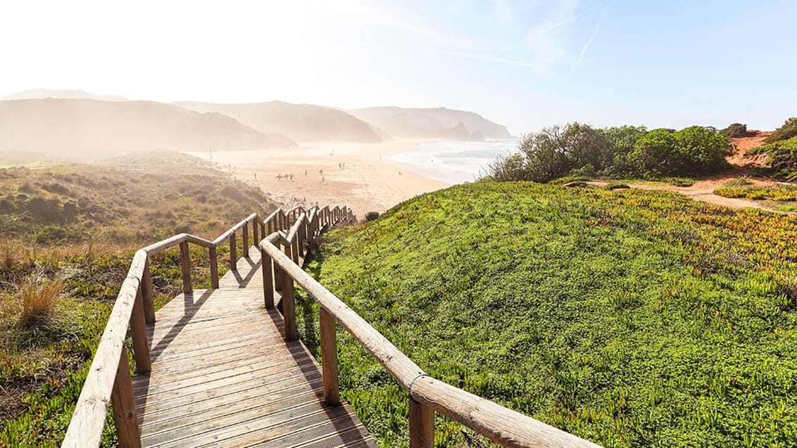 Praia do Amado i Portugal