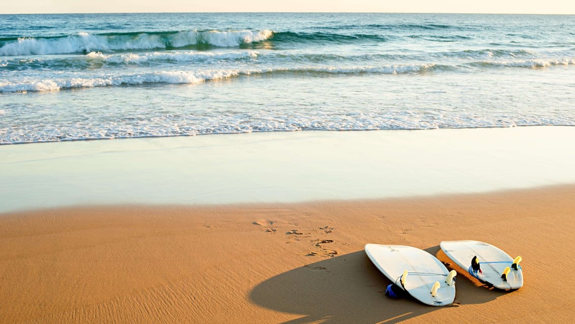 Surfboards i solnedgangen i Portugal