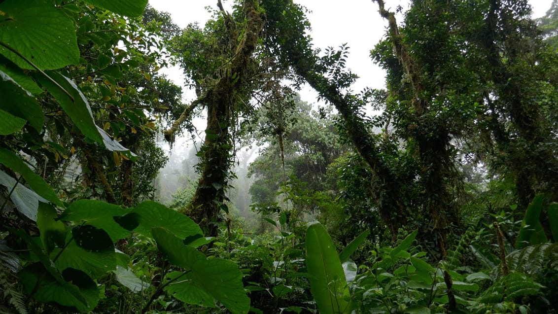 Monteverde, Costa Rica