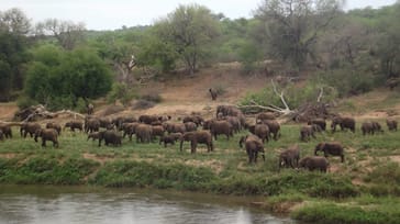 Mpala Safari Lodge, Sydafrika