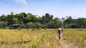 På cykel fra Chiang Mai til Chiang Rai