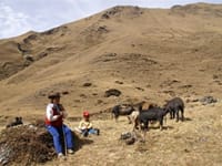 Trek i Inkariget, Peru, Sydamerika, Latinamerika