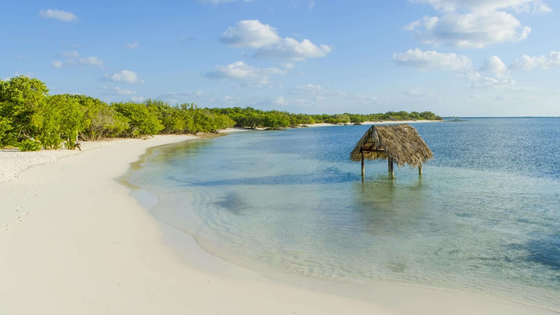 Strand Cayo Santa Maria Cuba