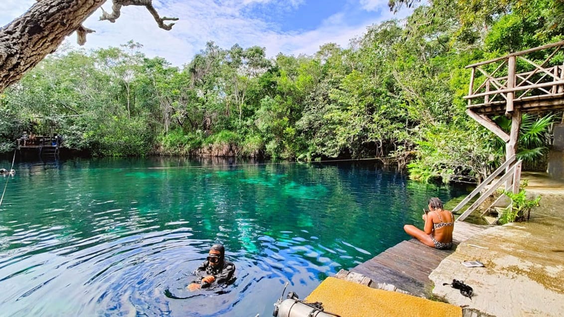 Dykning i cenote Angelica, Mexico