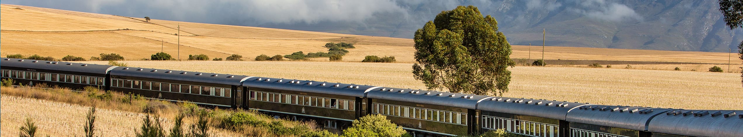 Sydafrika, Train