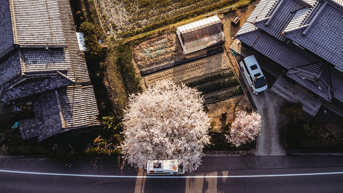 Tag med vennerne på camperrejse i Japan