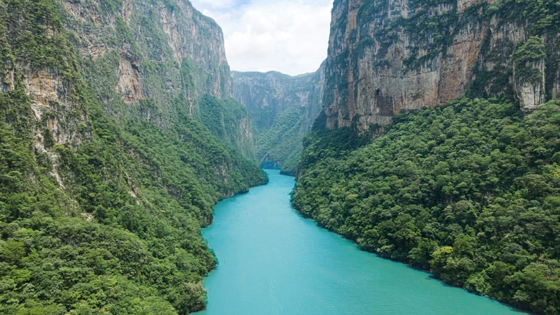 På tur gennem Sumidero-kløften, Mexico