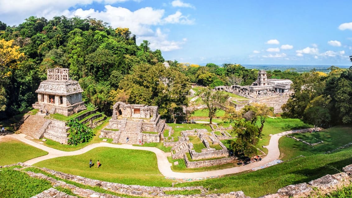 Palenque-ruinerne, Mexico