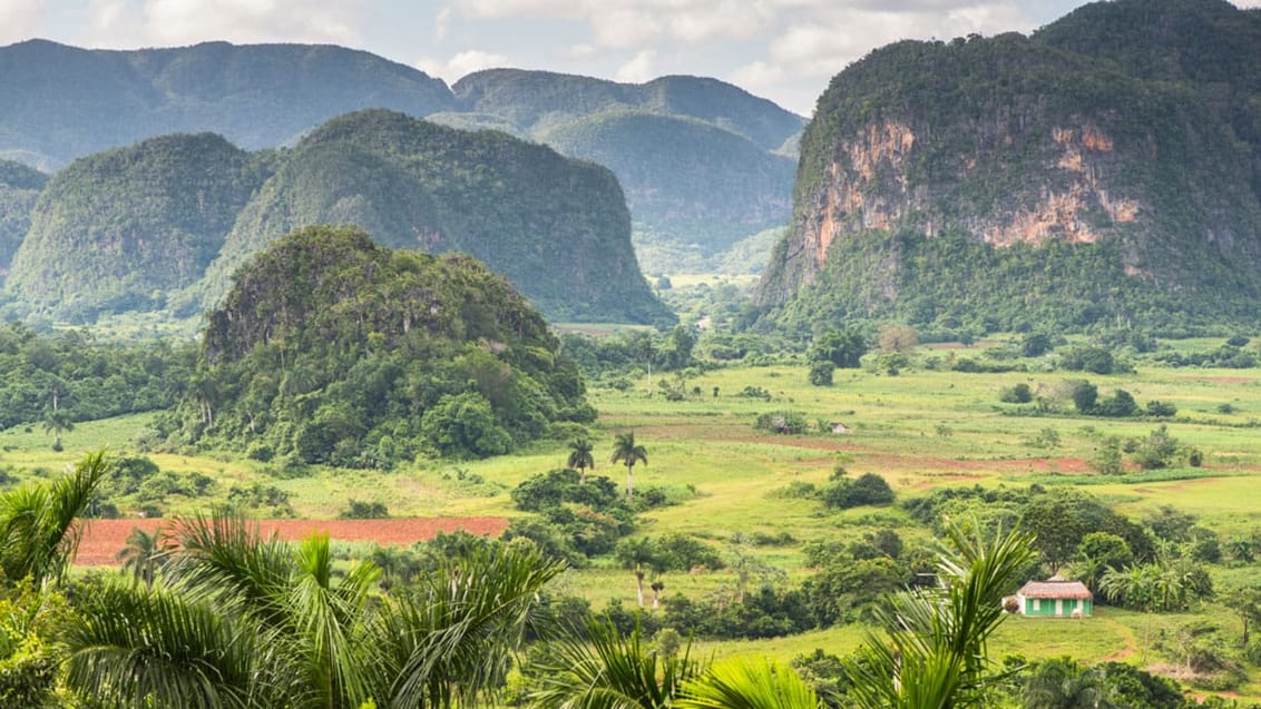 Vinales-dalen i Cuba