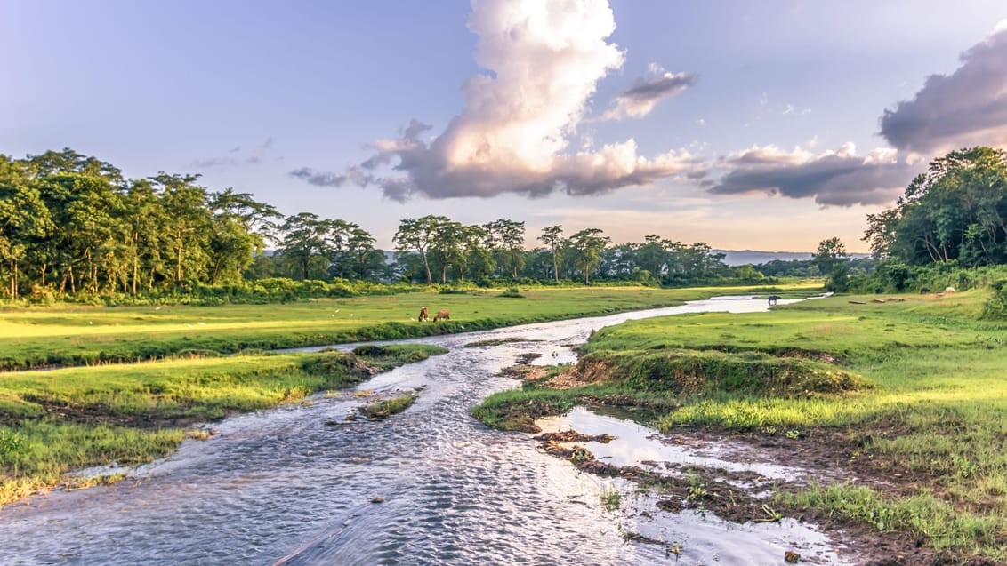 Det smukke landskab i lavlandet ved Chitwan