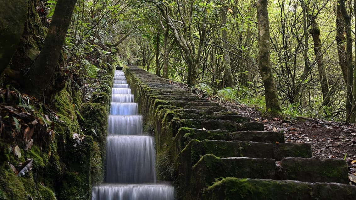 Levada Ribeiro Frio, Madeira