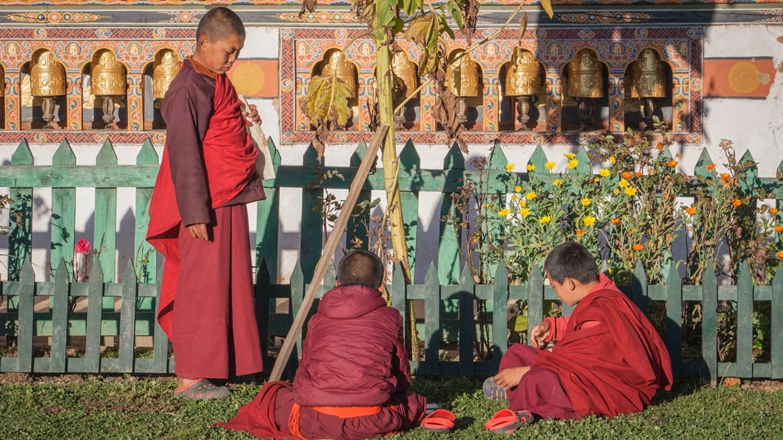 Tre unge munke leger i haven ved Tashigang Gompa i Bhutan