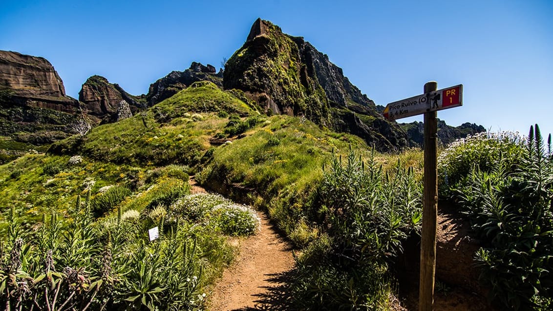 Pico Ruivo, Madeira