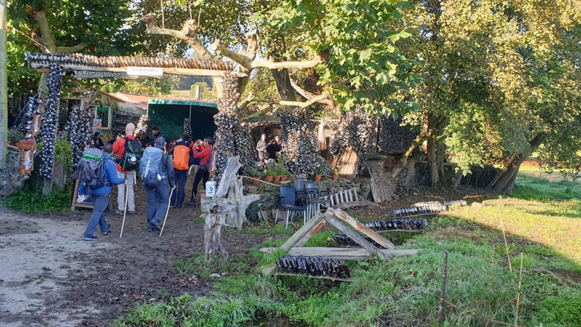 Pilgrimsstemning på Caminoen