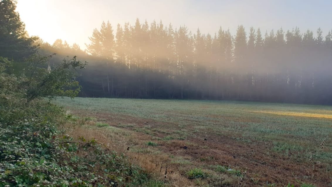 Solopgang på Caminoen