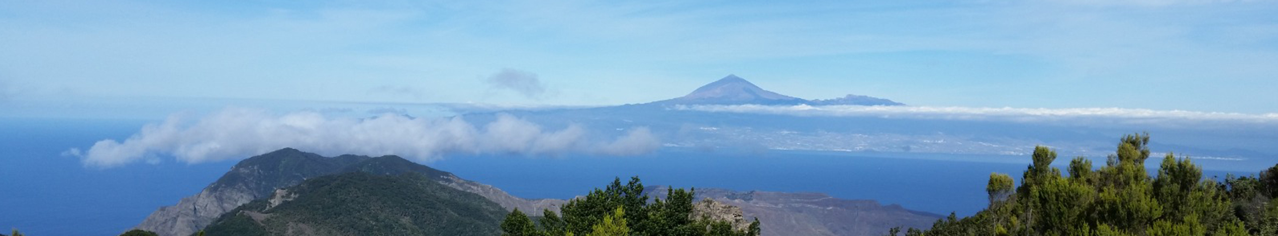 Tenerife og La Gomera