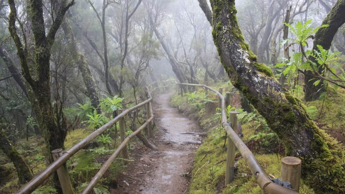 Tenerife og La Gomera