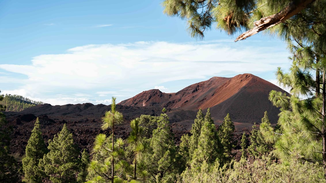 Tenerife og La Gomera