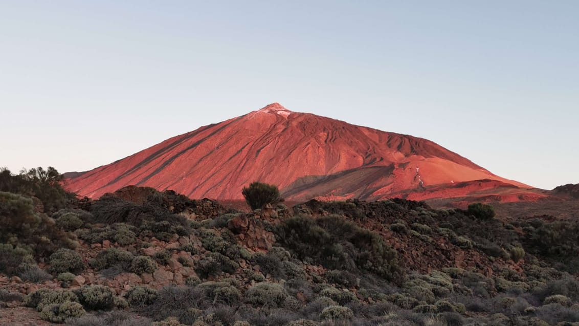 Tenerife og La Gomera