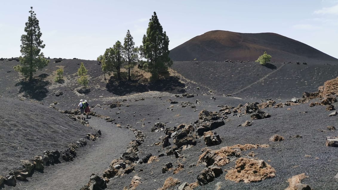 Tenerife og La Gomera