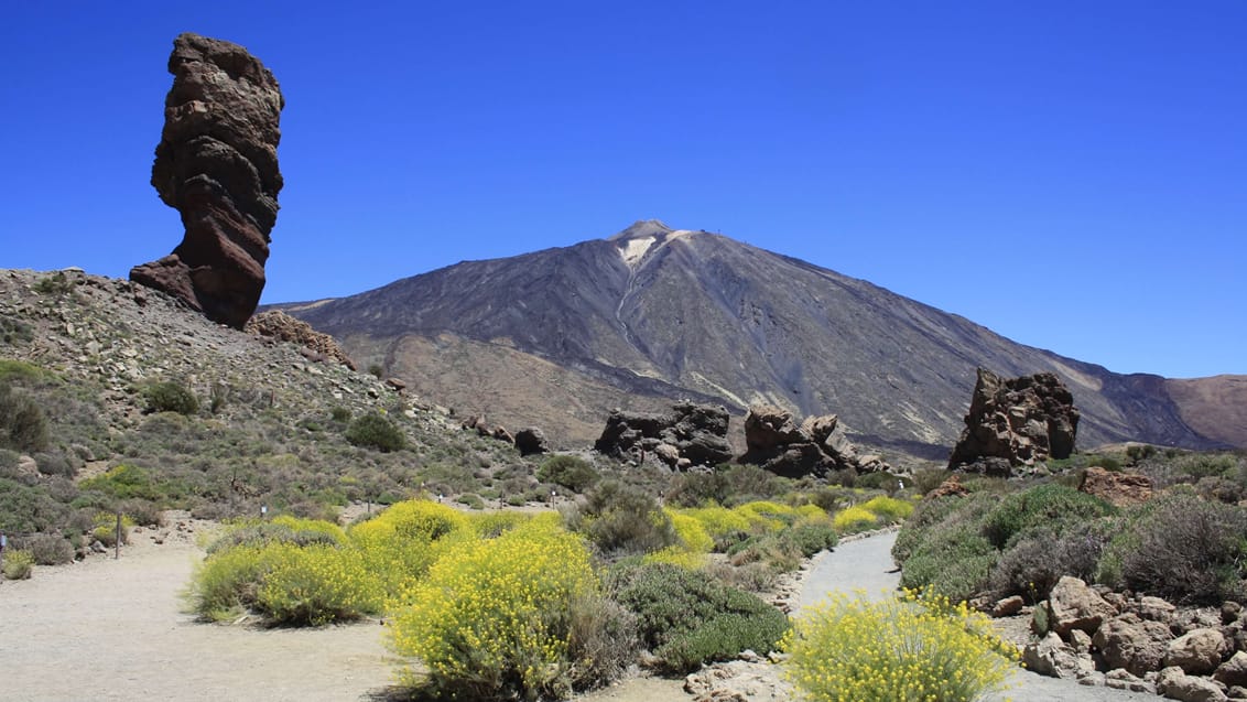 Tenerife og La Gomera