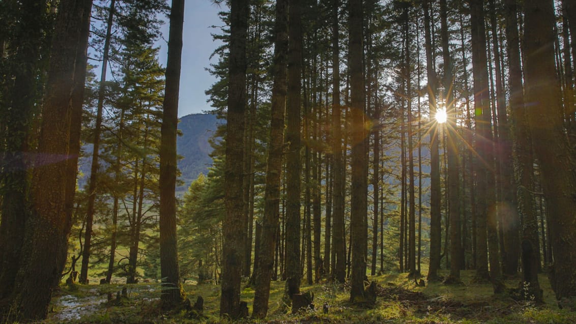 Kom helt tæt på naturen i Bhutan