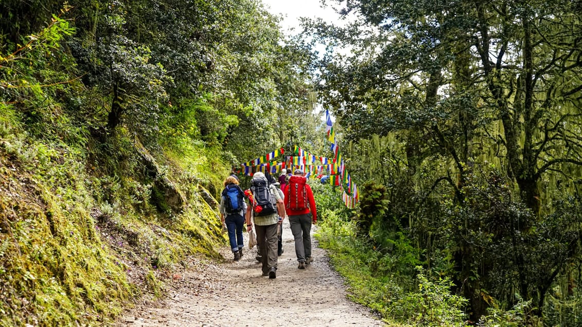 Vandring på Trans Bhutan-Trail