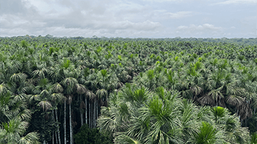De 26 bedste steder at rejse til i Sydamerika