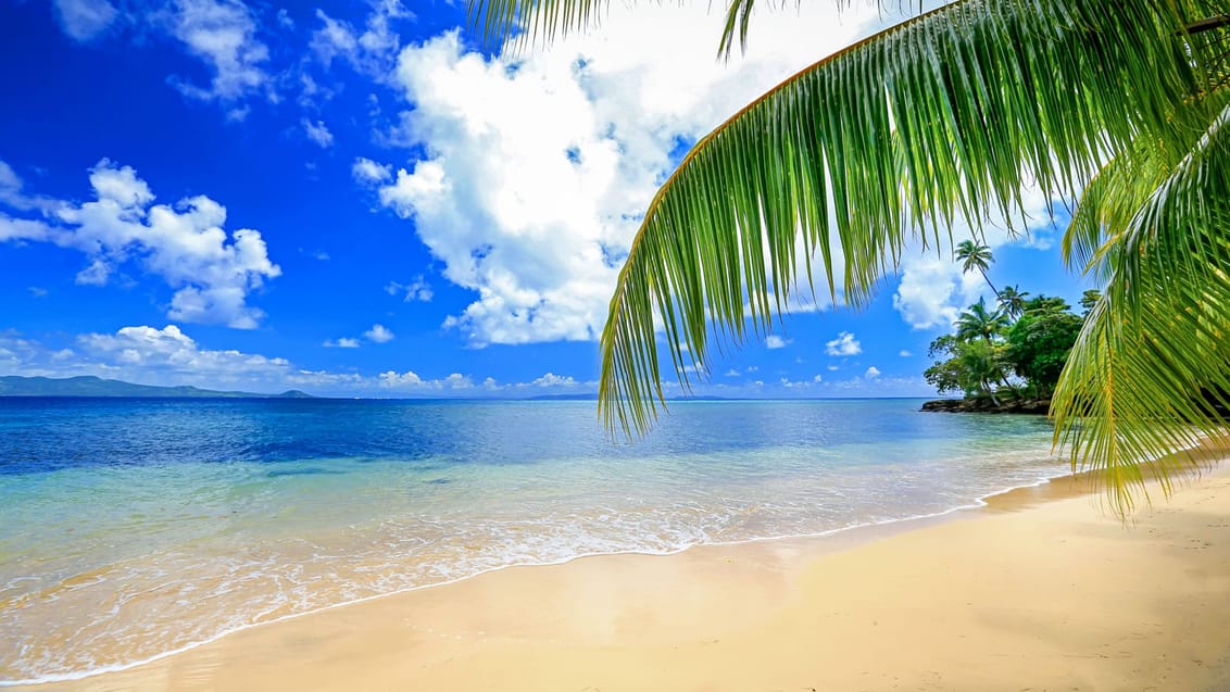 Stranden på Matangi island er som taget ud af et postkort