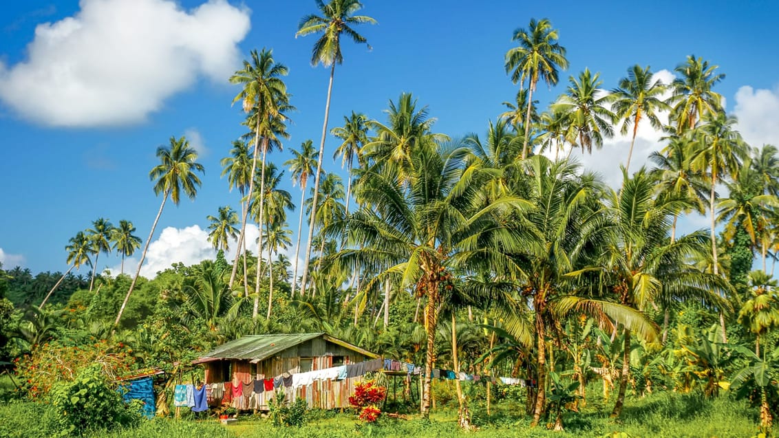 Lokal landsby på den uspolerede Taveuni Island