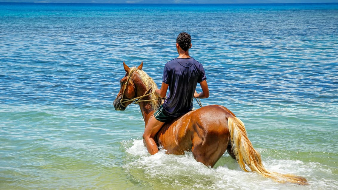 På hesteryg langs stranden på Taveuni Island