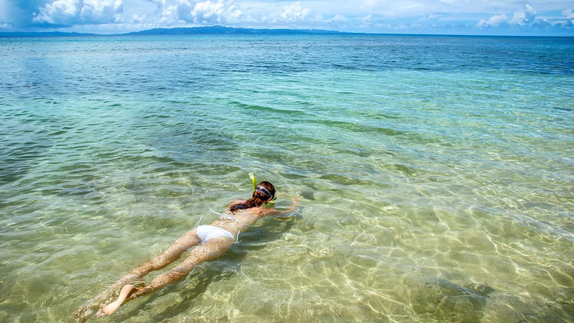 Fiji tilbyder noget af verdens bedste dykning og snorkling