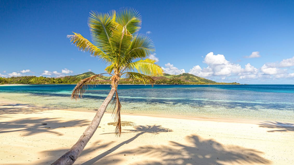 Glæd dig til Fijis uspolerede palmestrande