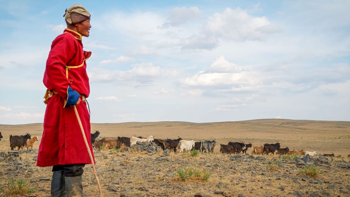 Blandt nomader på sletterne i Gobi-ørkenen