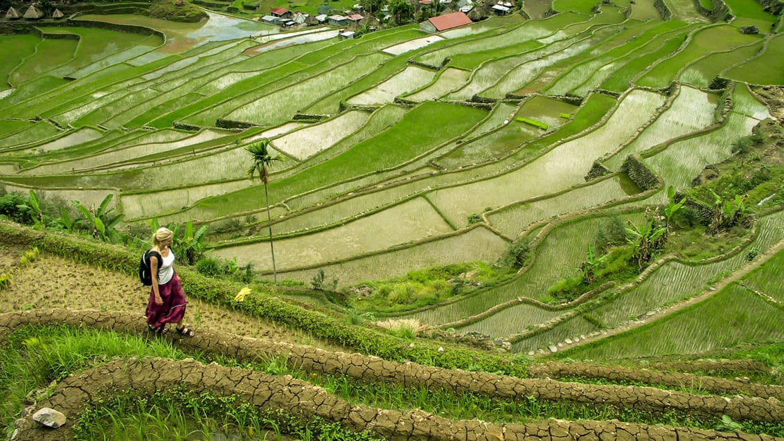 Risterrasserne ved Banaue i Filippinerne