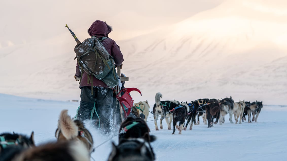 Den ultimative hundeslæde-ekspedition på Svalbard