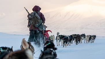 Den ultimative hundeslæde-ekspedition på Svalbard