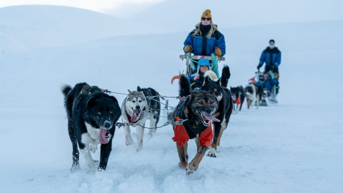 Tag med Jysk Rejsebureau på eventyr til Svalbard