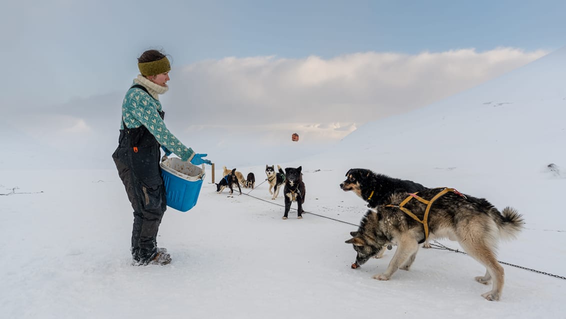 Tag med Jysk Rejsebureau på eventyr til Svalbard