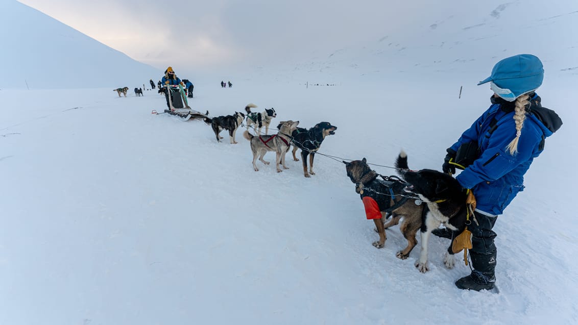 Tag med Jysk Rejsebureau på eventyr til Svalbard