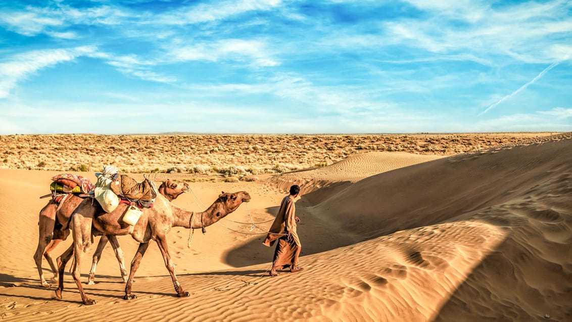 Kamelmarkeder og safarier opleves i Bikaner