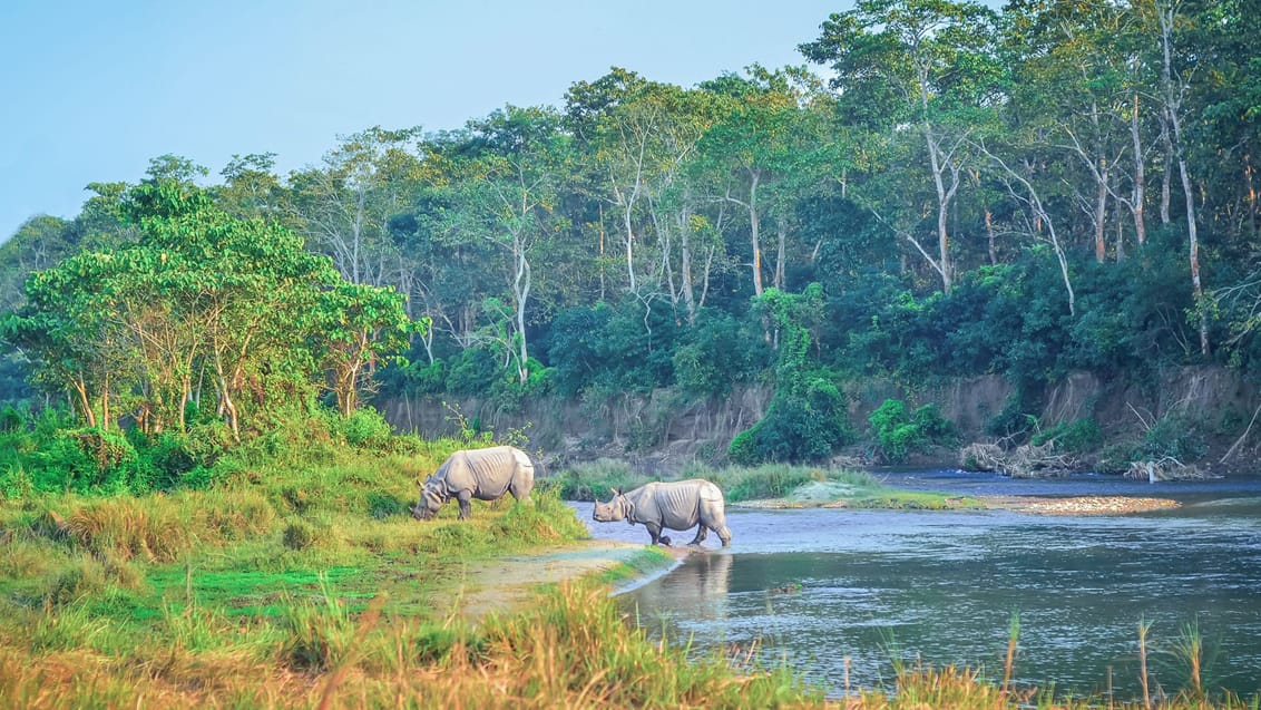 Chitwan, Nepal