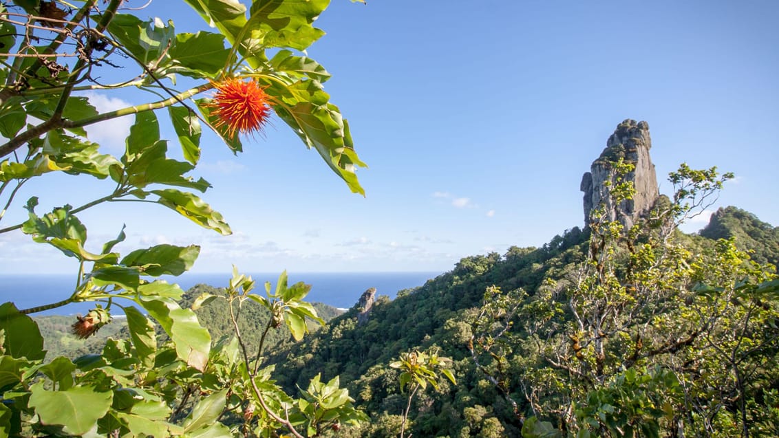 Rarotongas midte er fuld af høje bjerge og tropisk jungle