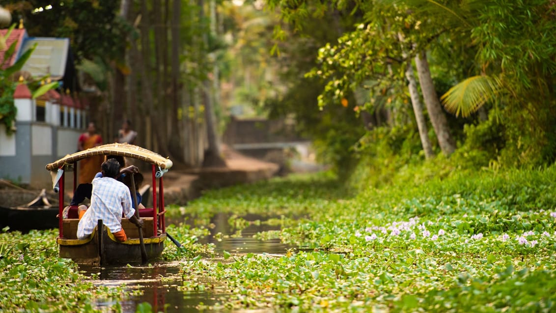 Lokalt liv i Alleppey Backwaters