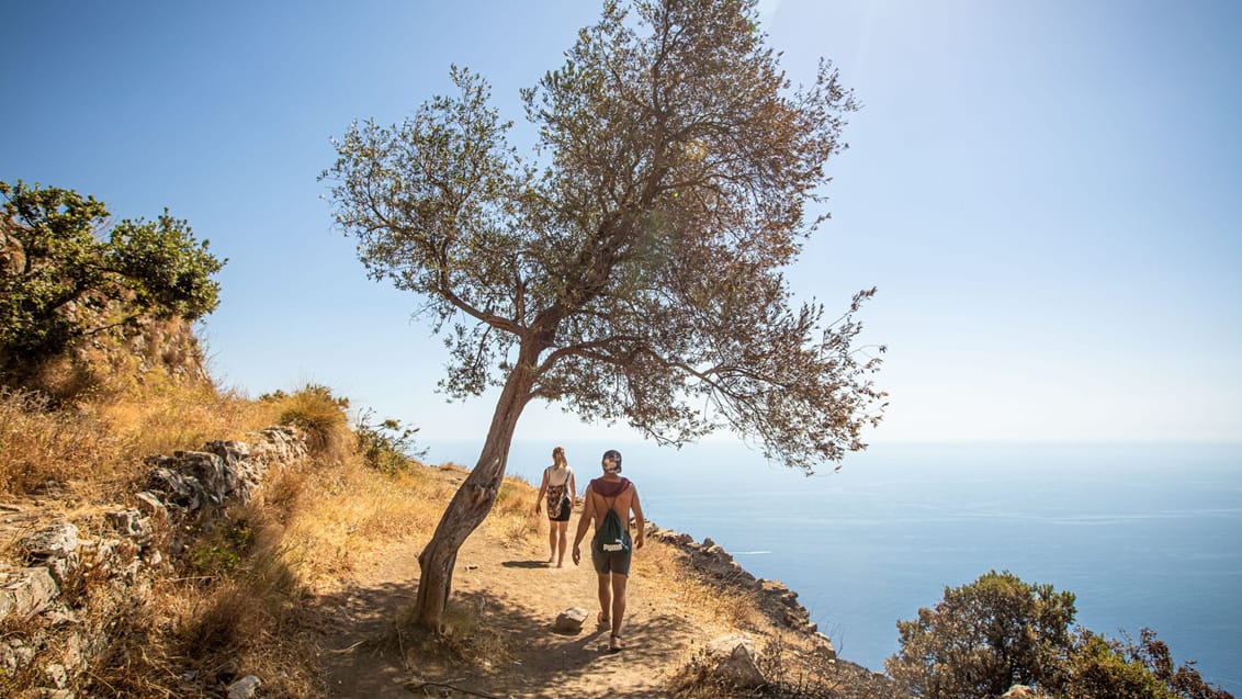Trekking under oliventræer og med vilde udsigter