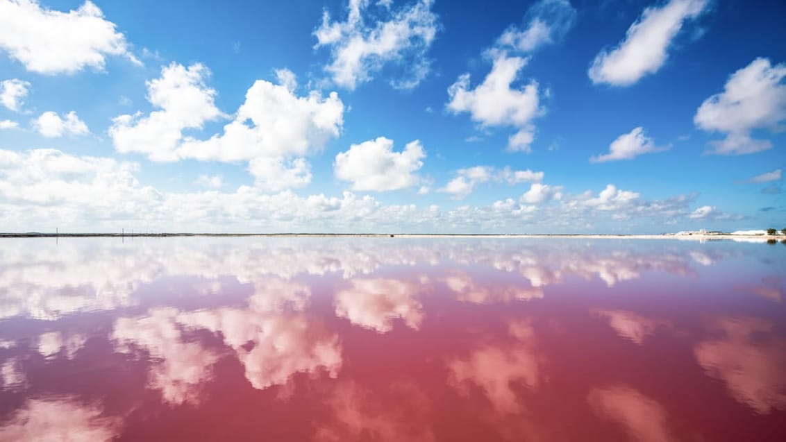 Las Coloradas ved Río Lagartos, Mexico