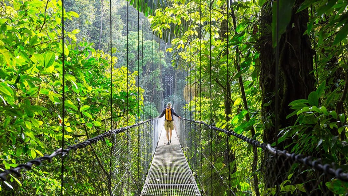 Hængebro i Costa Rica