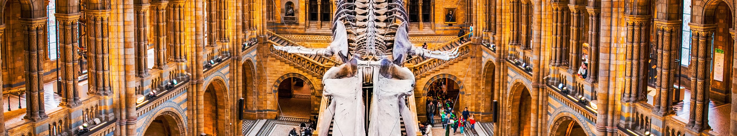 Naturvidenskab museum