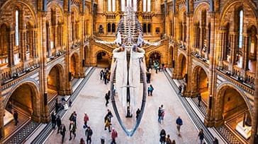 Naturvidenskab museum